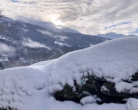 20211205-09h57m45s-IMG_2625-V3