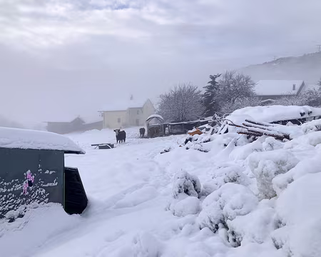 20211205-10h10m49s-IMG_2627-V3