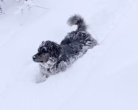 20211205-10h25m42s-PXL_20211205_092542182-V3 notre guide pour la journée