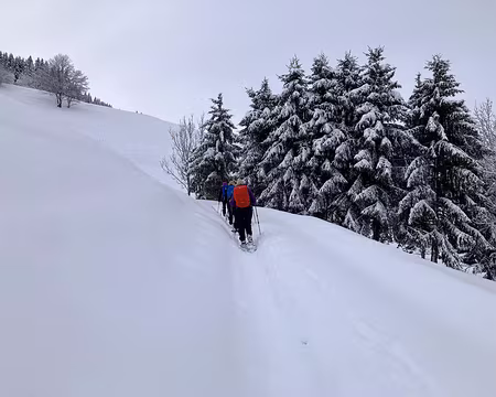 20211205-11h52m36s-IMG_2639-V3