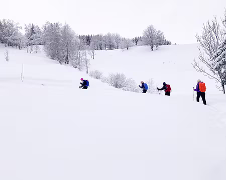 20211205-11h53m11s-IMG_2640-V3