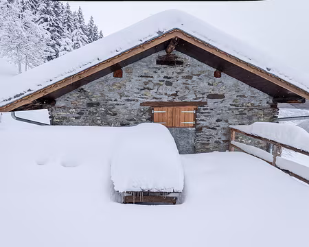 20211205-12h19m04s-PXL_20211205_111904540(1)-V3 la table du midi est là dessous, sortez les pelles