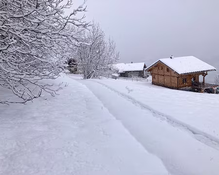 20211205-13h51m25s-IMG_2649-V3