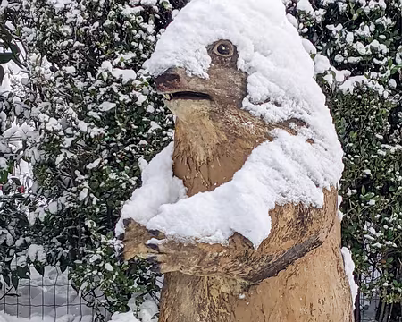 20211205-14h12m29s-PXL_20211205_131229601-V3