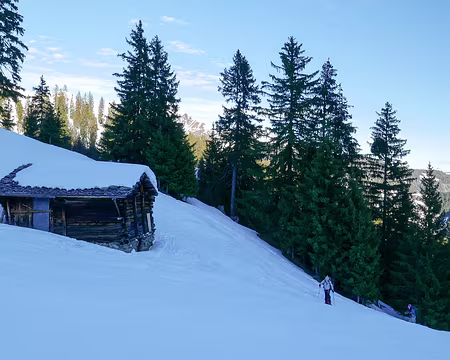 20220129-09h56m06s-20220129-09h56m06s-P1110576-V3-V3 On sort de l'ombre