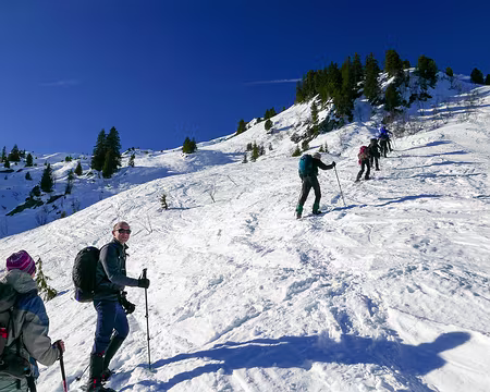 20220129-10h26m02s-20220129-10h26m02s-P1110580-V3-V3 Les skieurs ont bien labouré notre aire de jeu