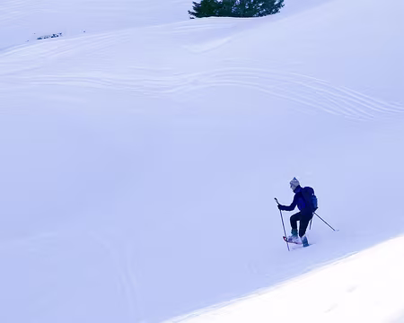 20220129-11h50m47s-20220129-11h50m47s-P1110602-V3-V3