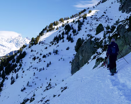 20220129-12h46m14s-20220129-12h46m14s-P1110620-V3-V3 la combe est bien croutée