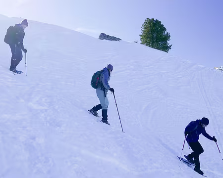 20220129-12h54m45s-20220129-12h54m45s-P1110627-V3-V3