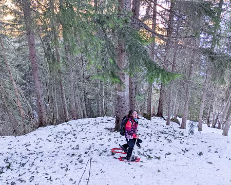 20220130-09h40m59s-20220130-09h40m59s-PXL_20220130_084059165-V3-V3