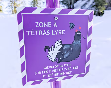 20220130-11h27m03s-20220130-11h27m03s-PXL_20220130_102703151-V3-V3