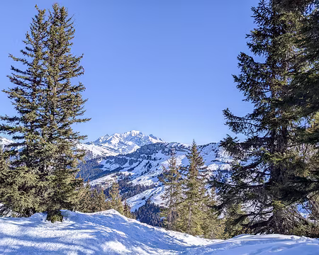 20220130-11h28m37s-20220130-11h28m37s-PXL_20220130_102837632-V3-V3