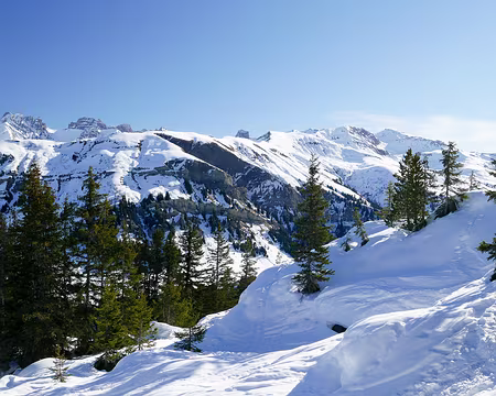 20220130-11h29m42s-20220130-11h29m42s-P1110660-V3-V3