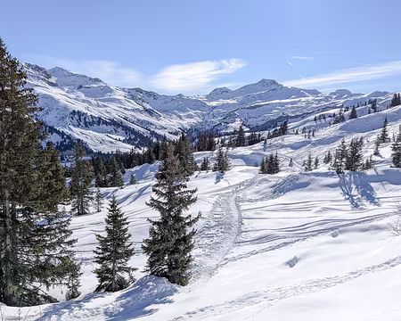 20220130-11h33m59s-20220130-11h33m59s-PXL_20220130_103359878-V3-V3