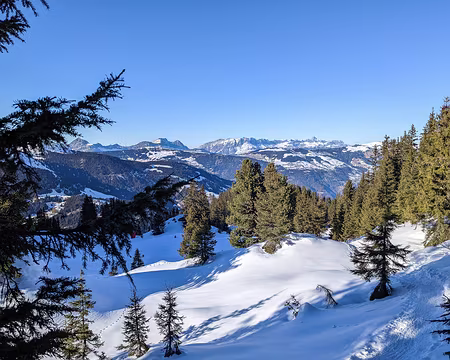 20220130-15h25m49s-20220130-15h25m49s-PXL_20220130_142549621-V3-V3