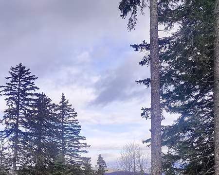 20230113-14h40m28s-IMG_20230113_144027-V3