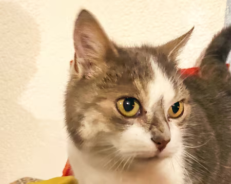 20230113-18h02m18s-IMG_20230113_180217-V3