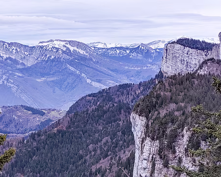 20230114-17h09m30s-PXL_20230114_160930411-V3