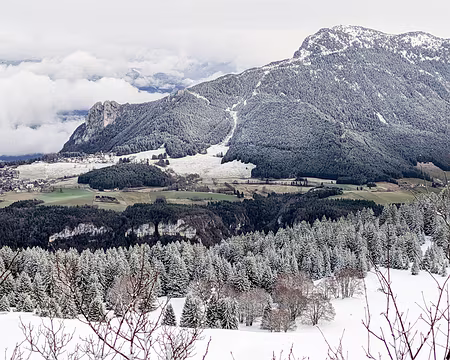 20230115-16h13m21s-PXL_20230115_151321986-V3