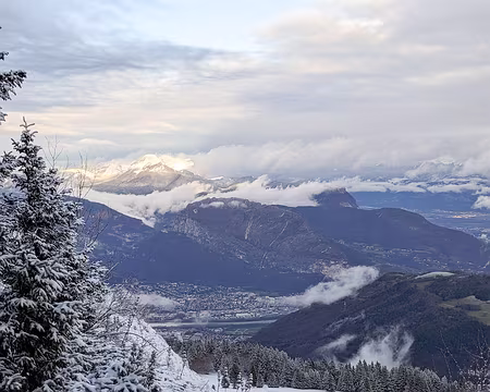 20230115-16h27m35s-PXL_20230115_152735184.PORTRAIT-V3