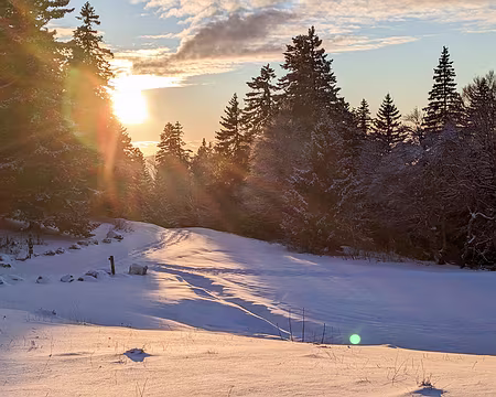 20230115-17h03m45s-PXL_20230115_160345489-V3