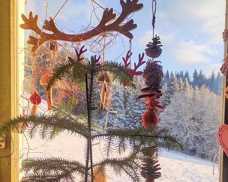 20230115-17h03m52s-IMG_20230115_170349-V3