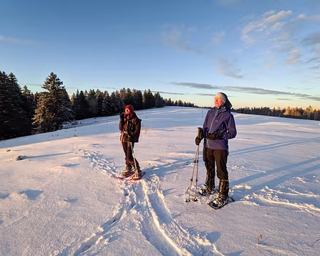 20230115-17h03m53s-PXL_20230115_160353893-V3