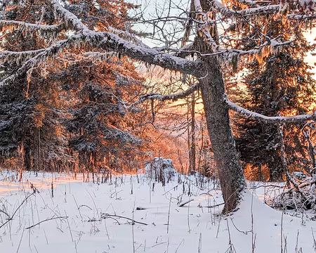 20230115-17h14m00s-PXL_20230115_161400597-V3