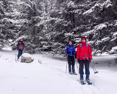 20230116-12h33m09s-IMG_20230116_123308-V3