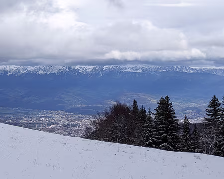 20230116-13h35m04s-PXL_20230116_123504424-V3