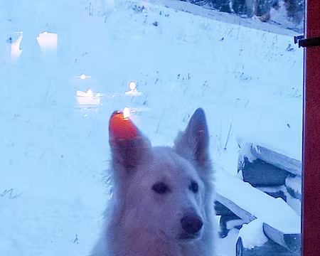 20230116-17h30m11s-IMG_20230116_173010-V3