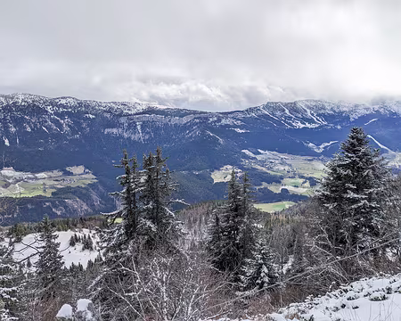 20230117-11h33m02s-PXL_20230117_103302127-V3