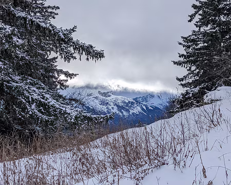 20230117-11h50m49s-PXL_20230117_105049338-V3