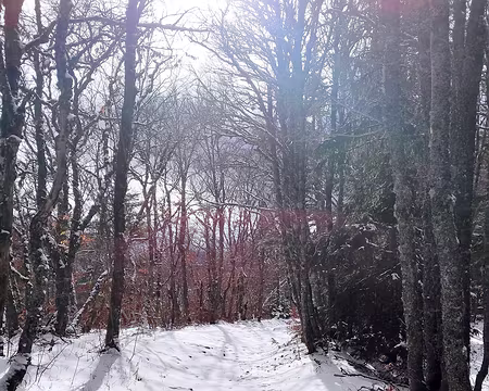 20230117-12h51m06s-IMG_20230117_125103-V3