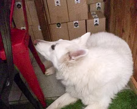 20230121-09h54m28s-IMG_1479-V3 Filo (Refuge des Feneys)