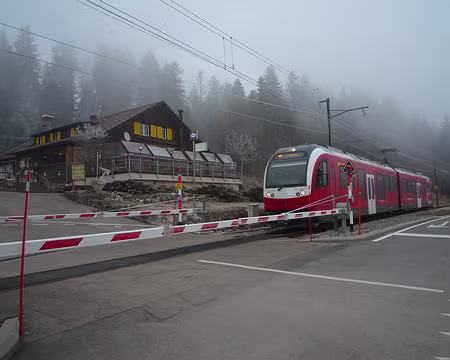 P1320536 A la Givrine (CH)