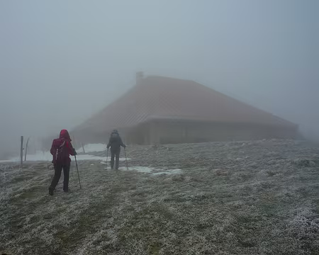 P1320542 La journée brouillard