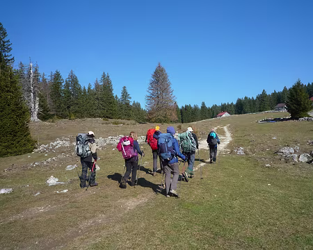 P1320585 Mais où est l'hiver ?