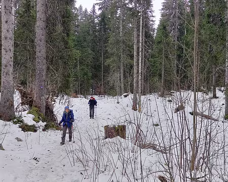 013 J2-, Il reste de la neige dans le Risoux.