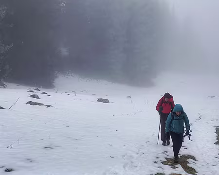 026 J3- Journée brouillard côté suisse.