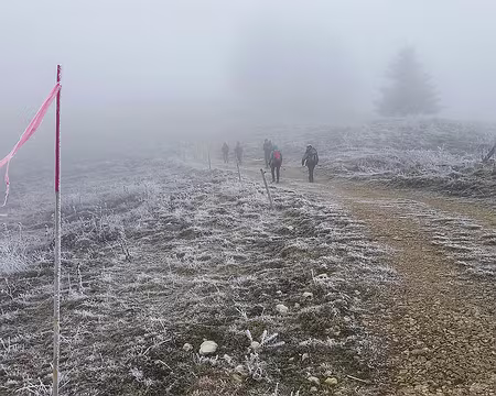 028 Une piste raquettes en Suisse.