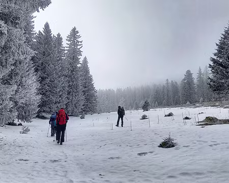 034 Dans une combe sauvage où seul le lièvre est passé.