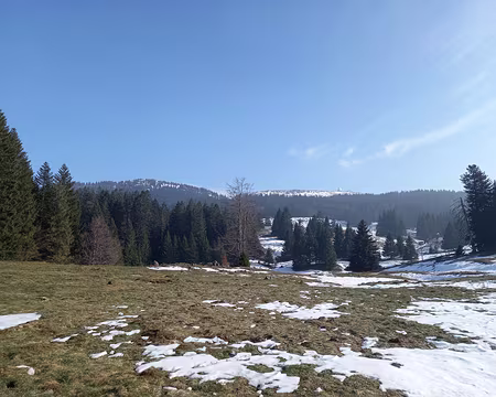 038 Soir sur la Dôle