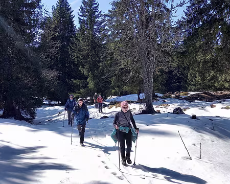 062 Une neige peu épaisse et qui porte encore pas mal.