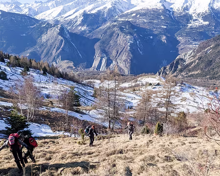 20230218-09h39m33s-PXL_20230218_083933844-V3