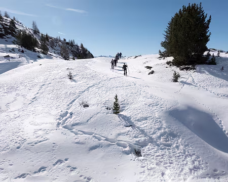 20230218-10h45m19s-XLA03200-V3