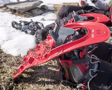 20230219-13h55m23s-XLA03335-V3 des pointes