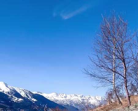 20230220-12h19m57s-IMG_20230220_121956-V3