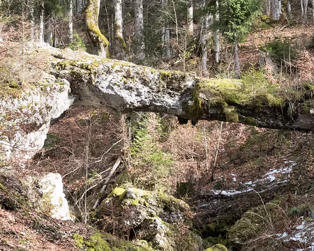 20230317-16h15m12s-XLA03531-V3 Le 