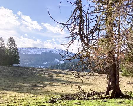 20230318-08h35m42s-photo_isa4-V3 Première étape de la journée : la sphère